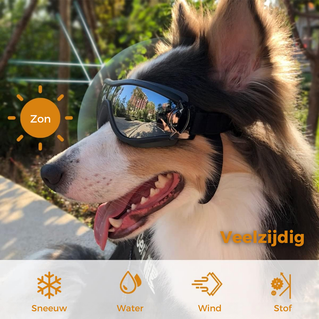 Honden Zonnebril