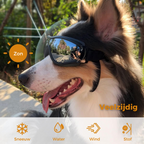 Honden Zonnebril