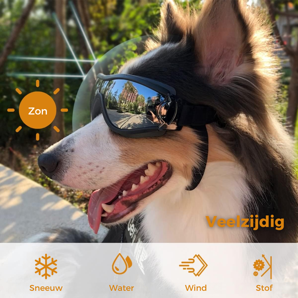 Honden Zonnebril