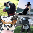 Honden Zonnebril