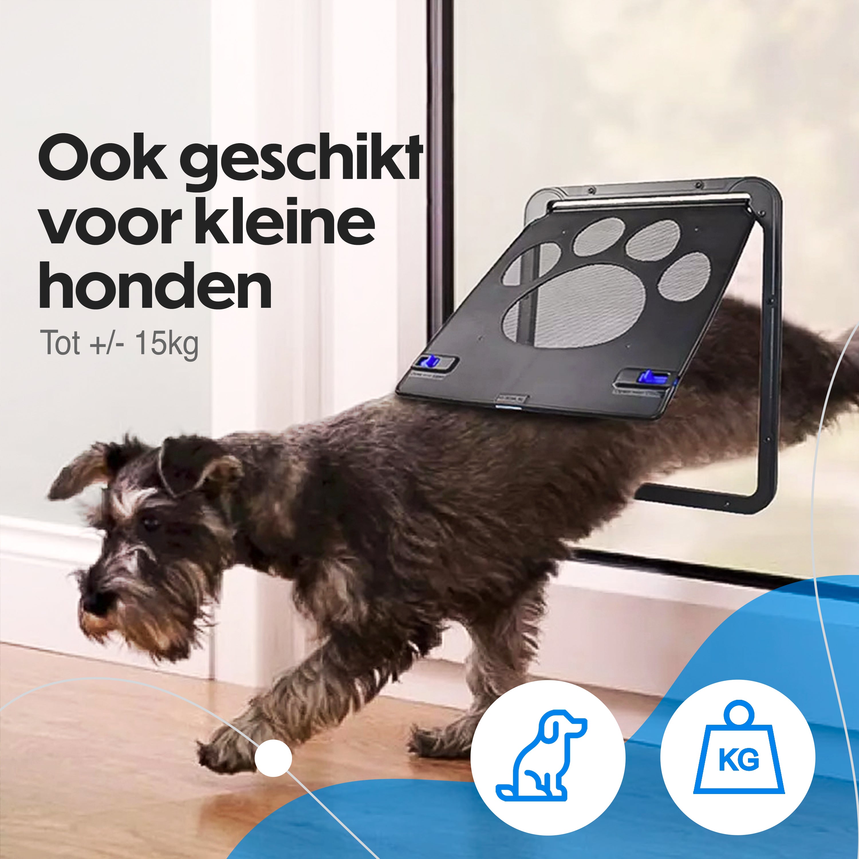 Kattenluik Hordeur | Kattendeur Binnendeur | 29x24cm | Geschikt voor Katten en Kleine Honden (tot 15kg)